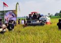 Targetkan Produksi Beras di Tahun 2025 Mencapai  200 Ribu Ton, Pemkab Jombang Siapkan Sejumlah Strategi
