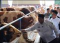 Pastikan Hewan Kurban di Jombang Sehat dan Aman, Bupati Sidak Sejumlah Tempat Penjualan Hewan Kurban