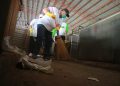 Aksi Bupati Jombang di Hari Lingkungan Hidup Sedunia, Sapu Pasar hingga Cek Harga Bahan Pokok