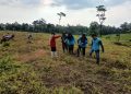 Langkah Cepat Direktur Baru Perumda Perkebunan Panglungan: Gaji Karyawan Lunas, Mulai Tanam Tembakau dan Semangka
