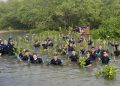 Peringati HUT ke-45, PT PAL Indonesia Tanam 2.000 Mangrove untuk Lindungi Pesisir Surabaya