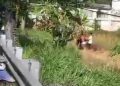 Kakek di Perak Jombang Dibacok Anak Jalanan Saat Cari Rumput, Pelaku Sempat Dihajar Warga