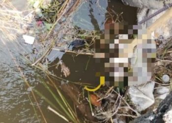 Lagi, Mayat Bayi Perempuan Ditemukan Mengapung di Sungai Megaluh Jombang