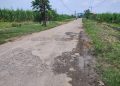 Banyak Lubang, Jalan Masuk Dusun Kedungboto Kesamben Jombang Dikeluhkan Warga, Pemdes Nunggu Pokir
