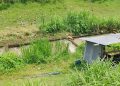 Mayat Pria Tanpa Identitas Ditemukan di Sungai Megaluh Jombang, Ada Luka di Leher