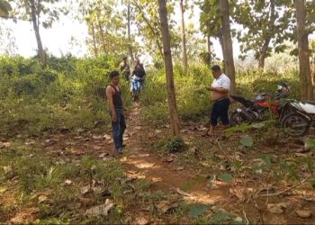 Diduga Pembalak Liar Kabur Saat Digerebek, Tinggalkan 9 Sepeda Motor di Hutan Mojoagung Jombang