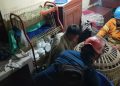Heboh, Monyet Lepas dari Kandang Serang Dua Warga di Jombang, Petugas Sempat Kesulitan Evakuasi