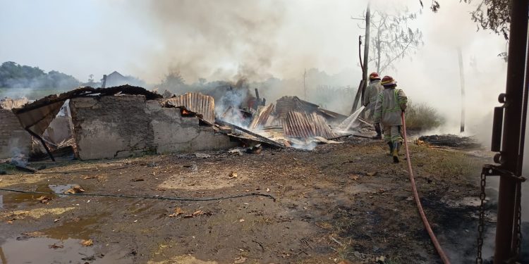 Kebakaran Kandang Ayam di Peterongan Jombang, Kerugian Ditaksir Capai Rp 2 Miliar