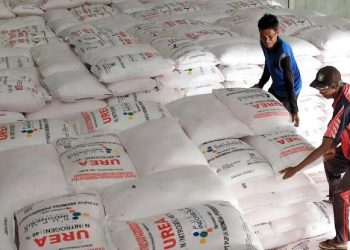 Pemkab Sampang Pastikan Stok Pupuk Bersubsidi Aman hingga Akhir 2026